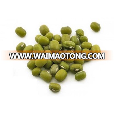 Mung Bean, Green Mung Bean, Mung Dal