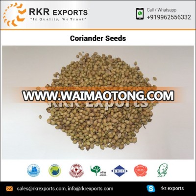 Best Quality Eagle Coriander Seed