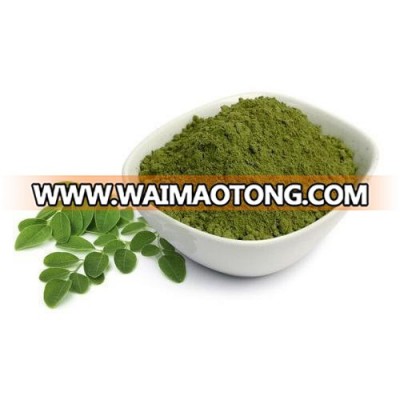 Moringa | Moringa Powder | Whatspp +91 8939998289