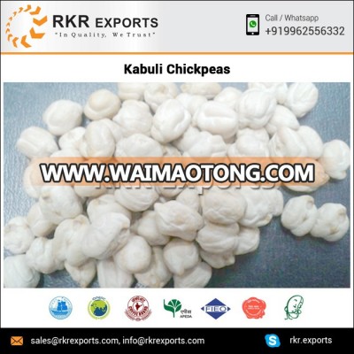 Calcium Rich Kabuli Chickpeas at Wholesale Price