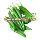 Green Chilli, G4 Green Chilli