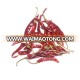 Teja Chilli, Indian Dry Red Chilli, Dry Chilli