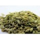 HIGH QUALITY FRESH Fennel Seed