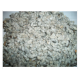 HIgh Quality Cotton Seed